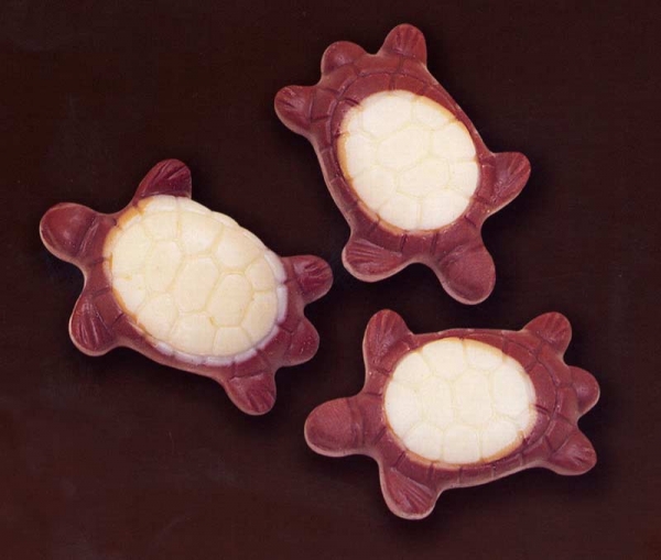 chocolates turtles